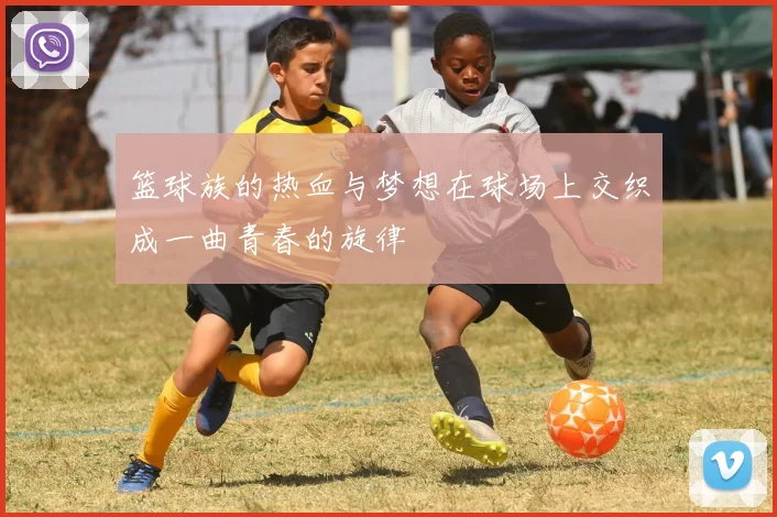 篮球族的热血与梦想在球场上交织成一曲青春的旋律