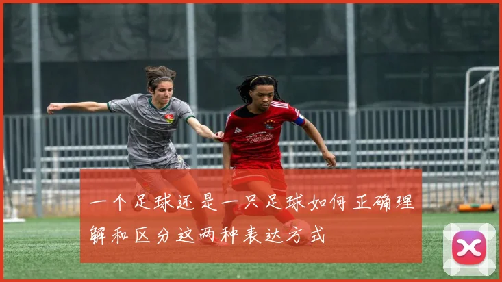 一个足球还是一只足球如何正确理解和区分这两种表达方式