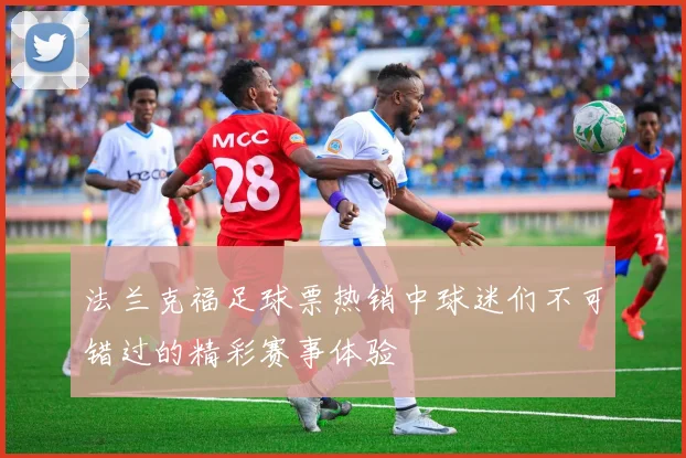 法兰克福足球票热销中球迷们不可错过的精彩赛事体验