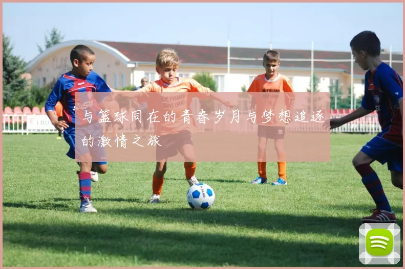 与篮球同在的青春岁月与梦想追逐的激情之旅