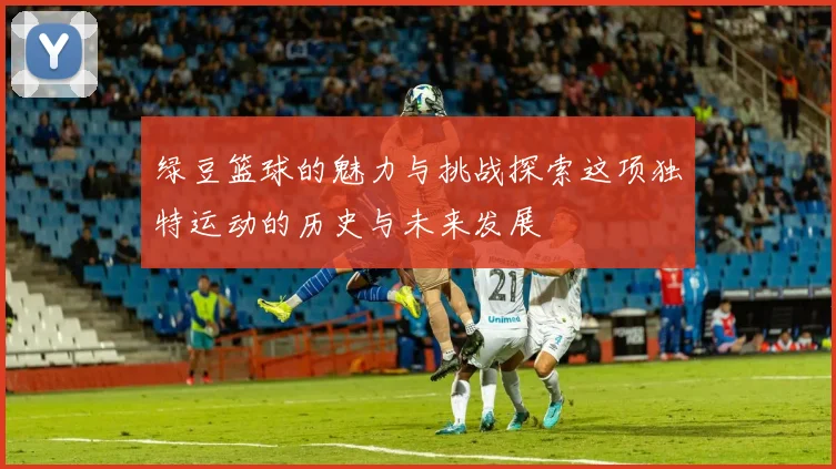 绿豆篮球的魅力与挑战探索这项独特运动的历史与未来发展